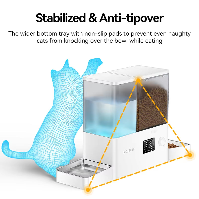 Mangeoire automatique pour chien avec fontaine d'eau