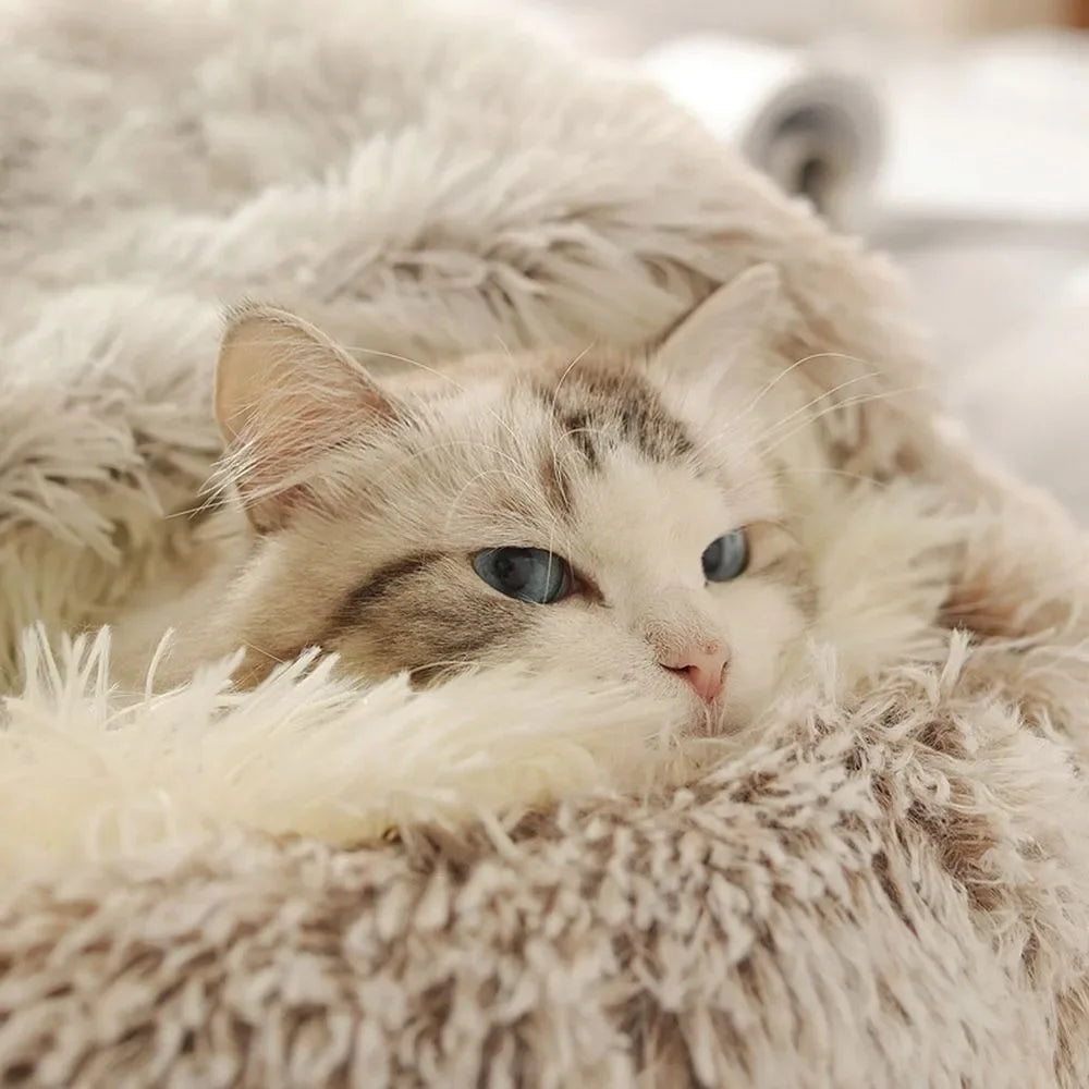 Peluche douce avec housse pour chat