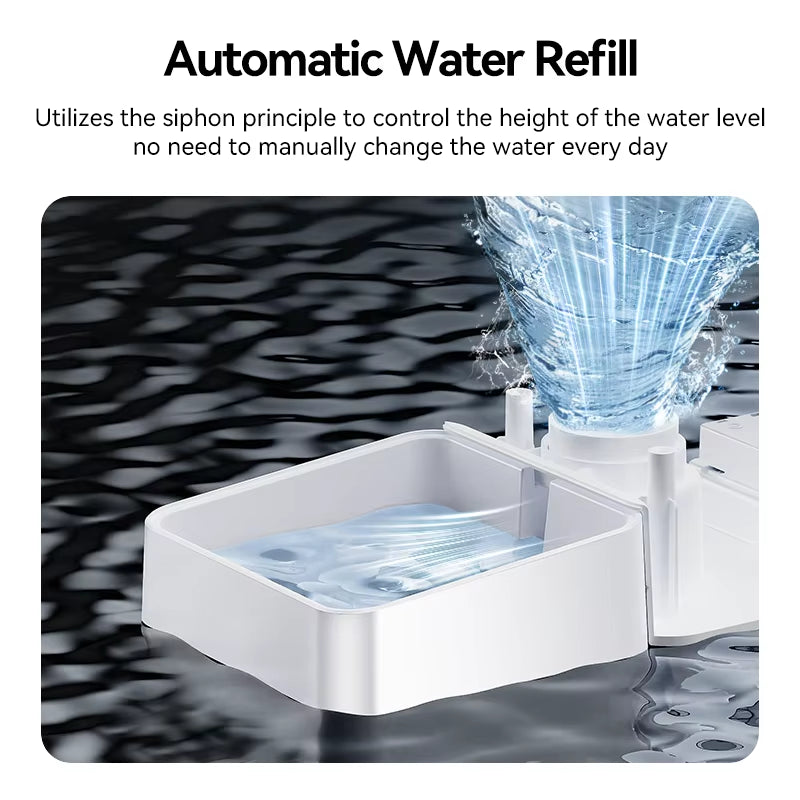 Mangeoire automatique pour chien avec fontaine d'eau