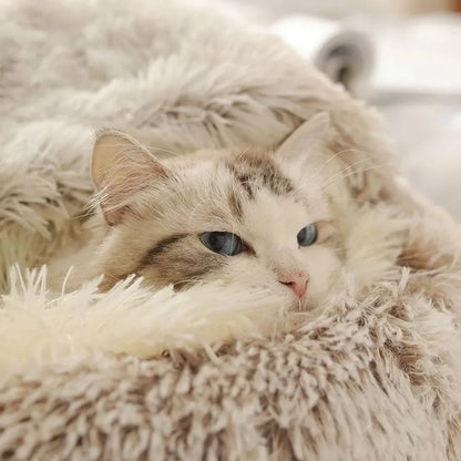 Peluche douce avec housse pour chat